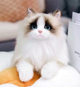 Custom Cat Portraits