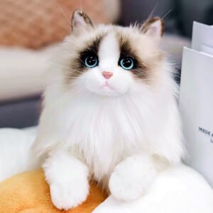 Custom Cat Portraits