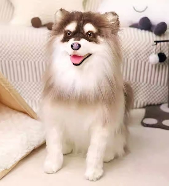 Custom Dog Portrait