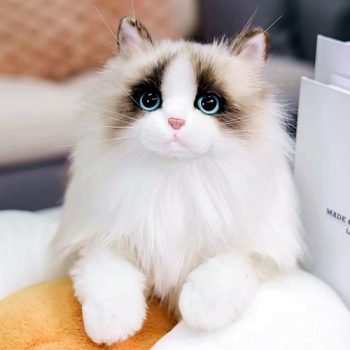 Custom Cat Portraits